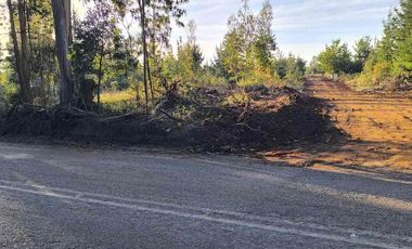 Vendo parcelas en Pichilemu * 5.000 m2 * Rol propio  * Listo para escriturar* Documentación al día  10 min Cahuil *A 15 min punta de lobos