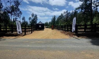 Vendo parcelas en Pichilemu * 5.000 m2 * Rol propio  * Listo para escriturar* Documentación al día  10 min Cahuil *A 15 min punta de lobos