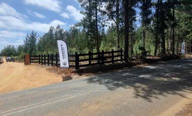 Vendo parcelas en Pichilemu * 5.000 m2 * Rol propio  * Listo para escriturar* Documentación al día  10 min Cahuil *A 15 min punta de lobos