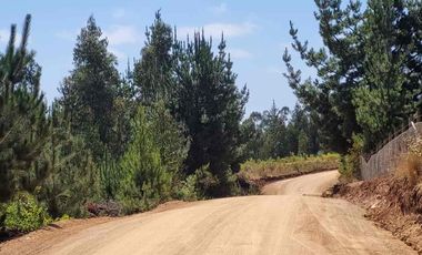 Vendo parcelas en Pichilemu * 5.000 m2 * Rol propio  * Listo para escriturar* Documentación al día  10 min Cahuil *A 15 min punta de lobos