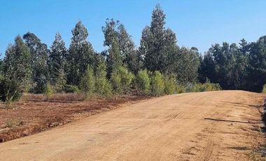 Vendo parcelas en Pichilemu * 5.000 m2 * Rol propio  * Listo para escriturar* Documentación al día  10 min Cahuil *A 15 min punta de lobos