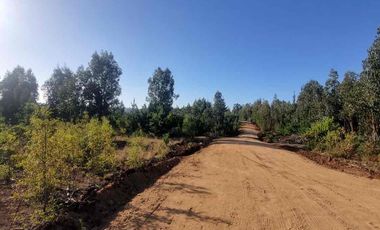 Vendo parcelas en Pichilemu * 5.000 m2 * Rol propio  * Listo para escriturar* Documentación al día  10 min Cahuil *A 15 min punta de lobos