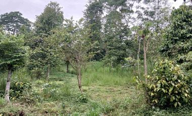 BU Tanah SHMP di Jl Boyong Sleman dekat Wisata Prospek Villa