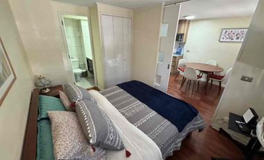Arriendo Departamento 1 Dormitorio, Semi-Amoblado Metro Republica
