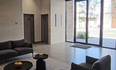 Departamento Centro de Monterrey Torre Colonia