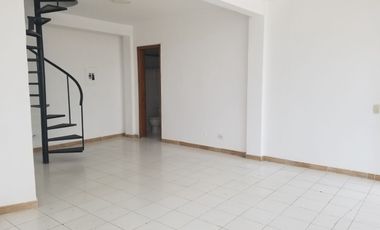 Local Comercial en Venta en Marbella – Ubicación Estratégica y Alta Rentabilidad