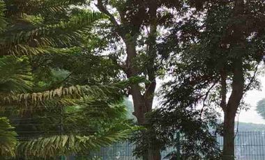 CASA EN RENTA EN TABASCO 2000