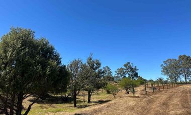 Lotes en Huasca de Ocampo Pueblo Mágico