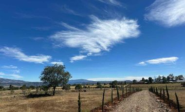 Lotes en Huasca de Ocampo Pueblo Mágico