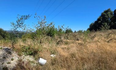 Parcela en venta en sector Santa Elvira, Valdivia