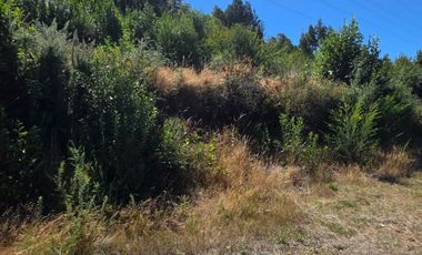 Parcela en venta en sector Santa Elvira, Valdivia