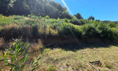 Parcela en venta en sector Santa Elvira, Valdivia