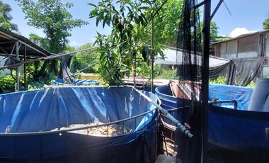 Jual Cepat Tanah SHM Strategis Dekat Terminal Giwangan Umbulharjo Yogyakarta