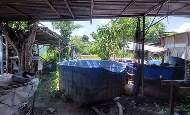 Jual Cepat Tanah SHM Strategis Dekat Terminal Giwangan Umbulharjo Yogyakarta