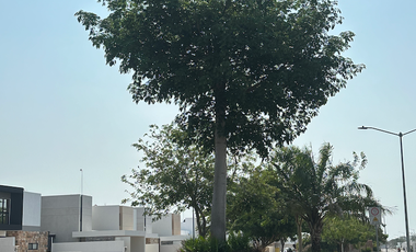 casa de 4 recamaras en privada residencial con seguridad y amenidades recamara en planta baja conkak norte yucatan