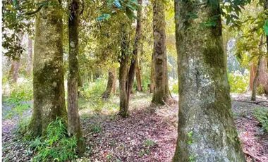vendo parcelas en Rupanco * 5.000 m2 * Rol propio * Listo para escriturar* Documentación al día (CBR / SII/SAG) 3 minutos del Lago Rupanco