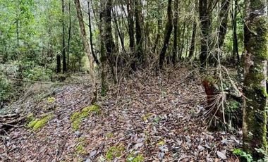 vendo parcelas en Rupanco * 5.000 m2 * Rol propio * Listo para escriturar* Documentación al día (CBR / SII/SAG) 3 minutos del Lago Rupanco