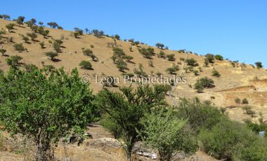 Leon Propiedades vende Terreno de 6ha. con casa en sector Cuyuncavi, Curacaví.