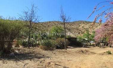 Leon Propiedades vende Terreno de 6ha. con casa en sector Cuyuncavi, Curacaví.