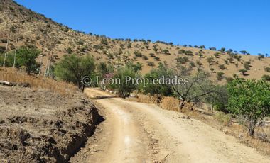 Leon Propiedades vende Terreno de 6ha. con casa en sector Cuyuncavi, Curacaví.