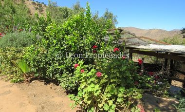 Leon Propiedades vende Terreno de 6ha. con casa en sector Cuyuncavi, Curacaví.