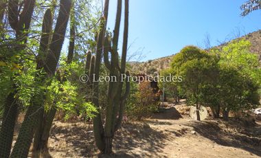 Leon Propiedades vende Terreno de 6ha. con casa en sector Cuyuncavi, Curacaví.
