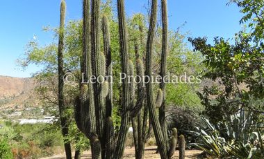 Leon Propiedades vende Terreno de 6ha. con casa en sector Cuyuncavi, Curacaví.