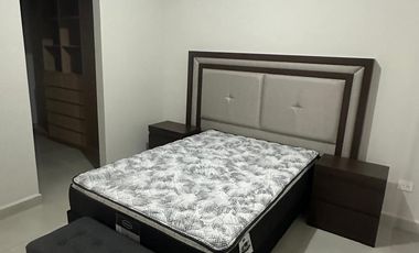 Departamento en Living San Nicolás, San Nicolás de los Garza