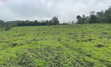 Casa de venta en Intag, 3 hectáreas de terreno con árboles frutales