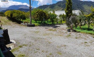 Casa de venta en Intag, 3 hectáreas de terreno con árboles frutales