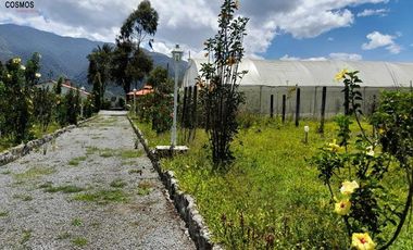 Casa de venta en Intag, 3 hectáreas de terreno con árboles frutales