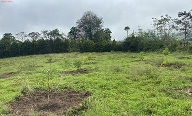 Casa de venta en Intag, 3 hectáreas de terreno con árboles frutales