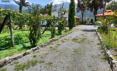 Casa de venta en Intag, 3 hectáreas de terreno con árboles frutales