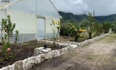 Casa de venta en Intag, 3 hectáreas de terreno con árboles frutales