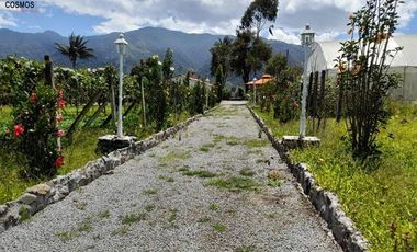 Casa de venta en Intag, 3 hectáreas de terreno con árboles frutales