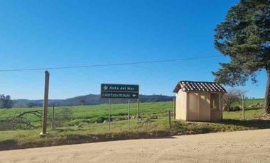vendo parcela Vichuquen,               * 5.000 m2 
* Rol propio  
* Listo para escriturar
* Documentación al día (CBR / SII/SAG)