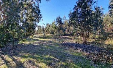 vendo parcela Vichuquen,               * 5.000 m2 
* Rol propio  
* Listo para escriturar
* Documentación al día (CBR / SII/SAG)