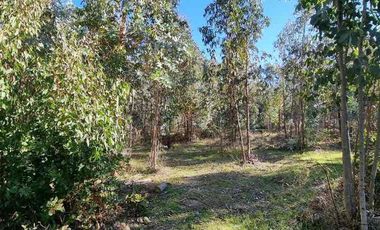 vendo parcela Vichuquen,               * 5.000 m2 
* Rol propio  
* Listo para escriturar
* Documentación al día (CBR / SII/SAG)
