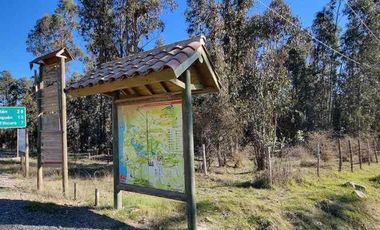 vendo parcela Vichuquen,               * 5.000 m2 
* Rol propio  
* Listo para escriturar
* Documentación al día (CBR / SII/SAG)
