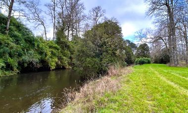 vendo parcelas en Los Muermos, región de los Lagos,  * 5.000 m2 * Rol propio * Listo para escriturar* Documentación al día (CBR / SII/SAG)