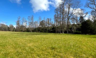 vendo parcelas en Los Muermos, región de los Lagos,  * 5.000 m2 * Rol propio * Listo para escriturar* Documentación al día (CBR / SII/SAG)