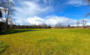vendo parcelas en Los Muermos, región de los Lagos,  * 5.000 m2 * Rol propio * Listo para escriturar* Documentación al día (CBR / SII/SAG)