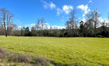 vendo parcelas en Los Muermos, región de los Lagos,  * 5.000 m2 * Rol propio * Listo para escriturar* Documentación al día (CBR / SII/SAG)