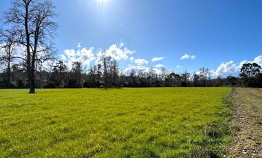 vendo parcelas en Los Muermos, región de los Lagos,  * 5.000 m2 * Rol propio * Listo para escriturar* Documentación al día (CBR / SII/SAG)