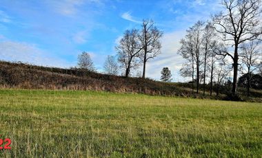 vendo parcelas en Los Muermos, región de los Lagos,  * 5.000 m2 * Rol propio * Listo para escriturar* Documentación al día (CBR / SII/SAG)