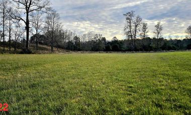 vendo parcelas en Los Muermos, región de los Lagos,  * 5.000 m2 * Rol propio * Listo para escriturar* Documentación al día (CBR / SII/SAG)