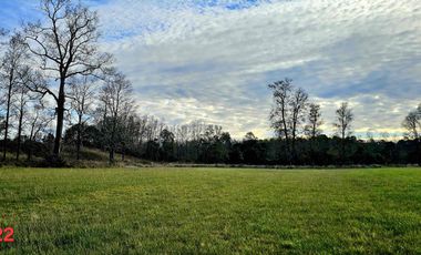 vendo parcelas en Los Muermos, región de los Lagos,  * 5.000 m2 * Rol propio * Listo para escriturar* Documentación al día (CBR / SII/SAG)