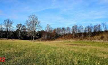vendo parcelas en Los Muermos, región de los Lagos,  * 5.000 m2 * Rol propio * Listo para escriturar* Documentación al día (CBR / SII/SAG)