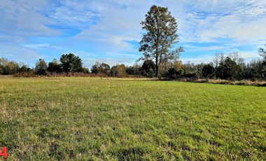 vendo parcelas en Los Muermos, región de los Lagos,  * 5.000 m2 * Rol propio * Listo para escriturar* Documentación al día (CBR / SII/SAG)