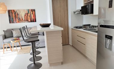 Se arrienda  AMOBLADO